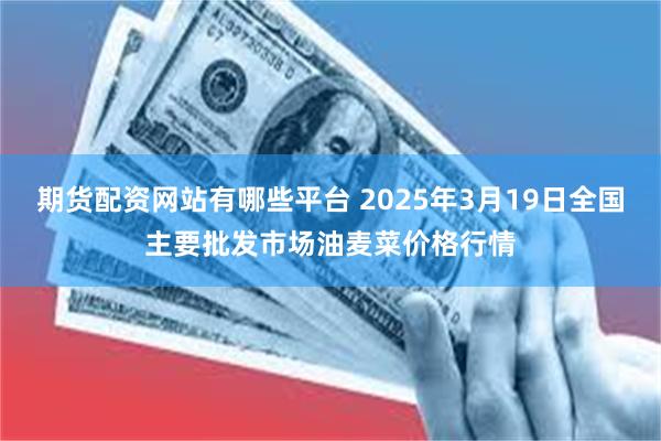 期货配资网站有哪些平台 2025年3月19日全国主要批发市场油麦菜价格行情