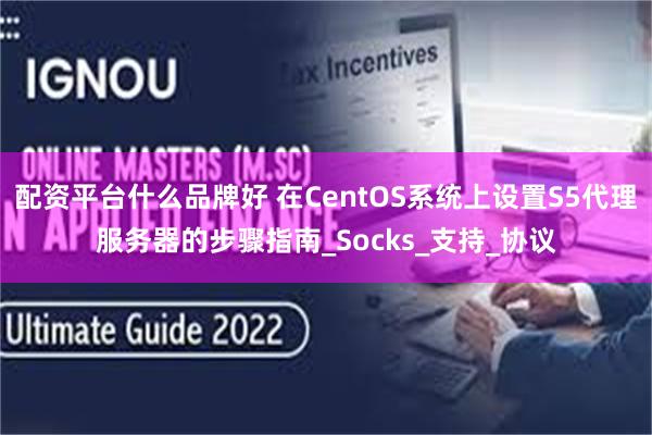 配资平台什么品牌好 在CentOS系统上设置S5代理服务器的步骤指南_Socks_支持_协议