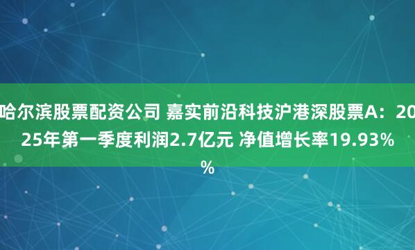哈尔滨股票配资公司 嘉实前沿科技沪港深股票A：2025年第一季度利润2.7亿元 净值增长率19.93%