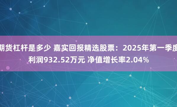 期货杠杆是多少 嘉实回报精选股票：2025年第一季度利润932.52万元 净值增长率2.04%