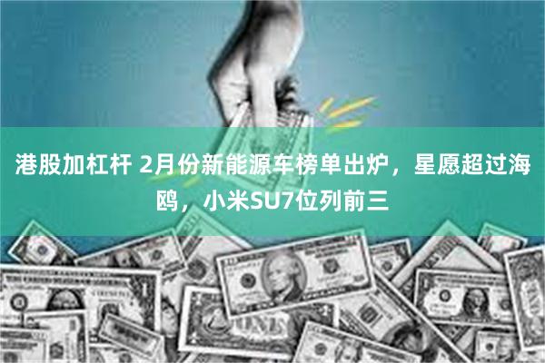 港股加杠杆 2月份新能源车榜单出炉，星愿超过海鸥，小米SU7位列前三