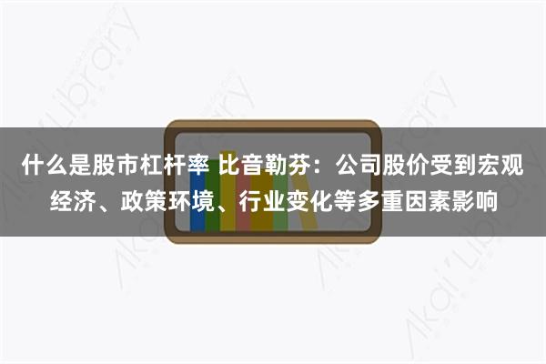 什么是股市杠杆率 比音勒芬：公司股价受到宏观经济、政策环境、行业变化等多重因素影响