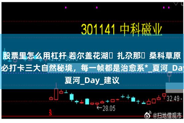 股票里怎么用杠杆 若尔盖花湖・扎尕那・桑科草原：甘南必打卡三大自然秘境，每一帧都是治愈系*_夏河_Day_建议