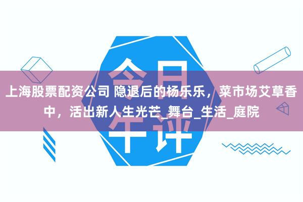 上海股票配资公司 隐退后的杨乐乐，菜市场艾草香中，活出新人生光芒_舞台_生活_庭院