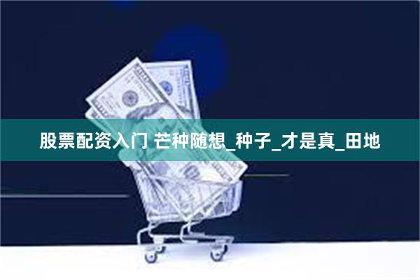 股票配资入门 芒种随想_种子_才是真_田地