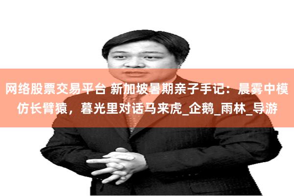 网络股票交易平台 新加坡暑期亲子手记：晨雾中模仿长臂猿，暮光里对话马来虎_企鹅_雨林_导游