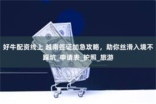 好牛配资线上 越南签证加急攻略，助你丝滑入境不踩坑_申请表_护照_旅游