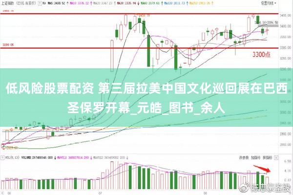 低风险股票配资 第三届拉美中国文化巡回展在巴西圣保罗开幕_元皓_图书_余人